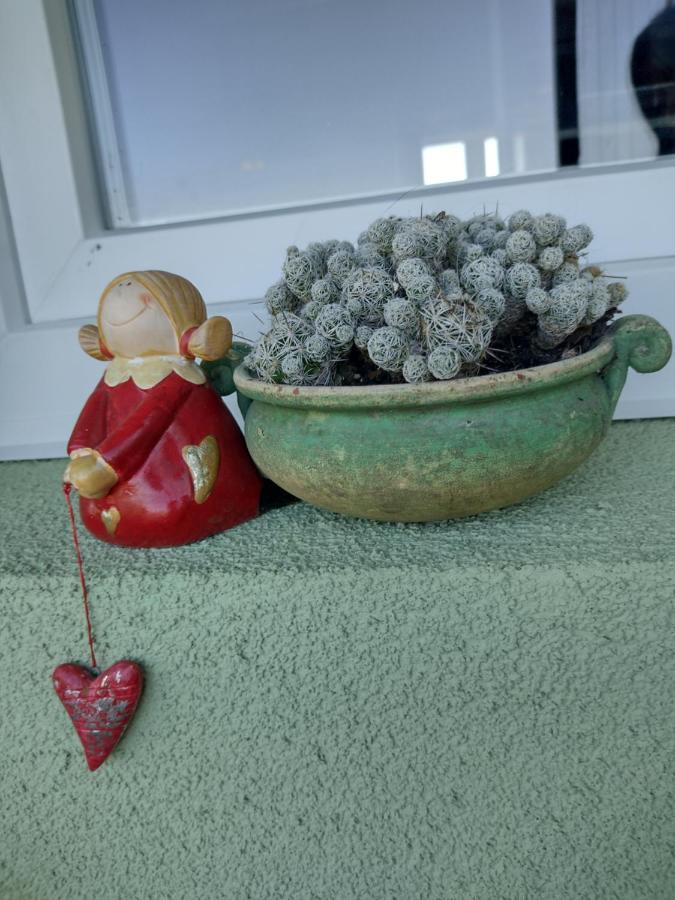 Appartamento Kilátó Apartman Tapolca Esterno foto